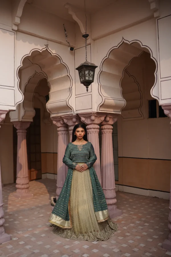 Dhanak DK-0010